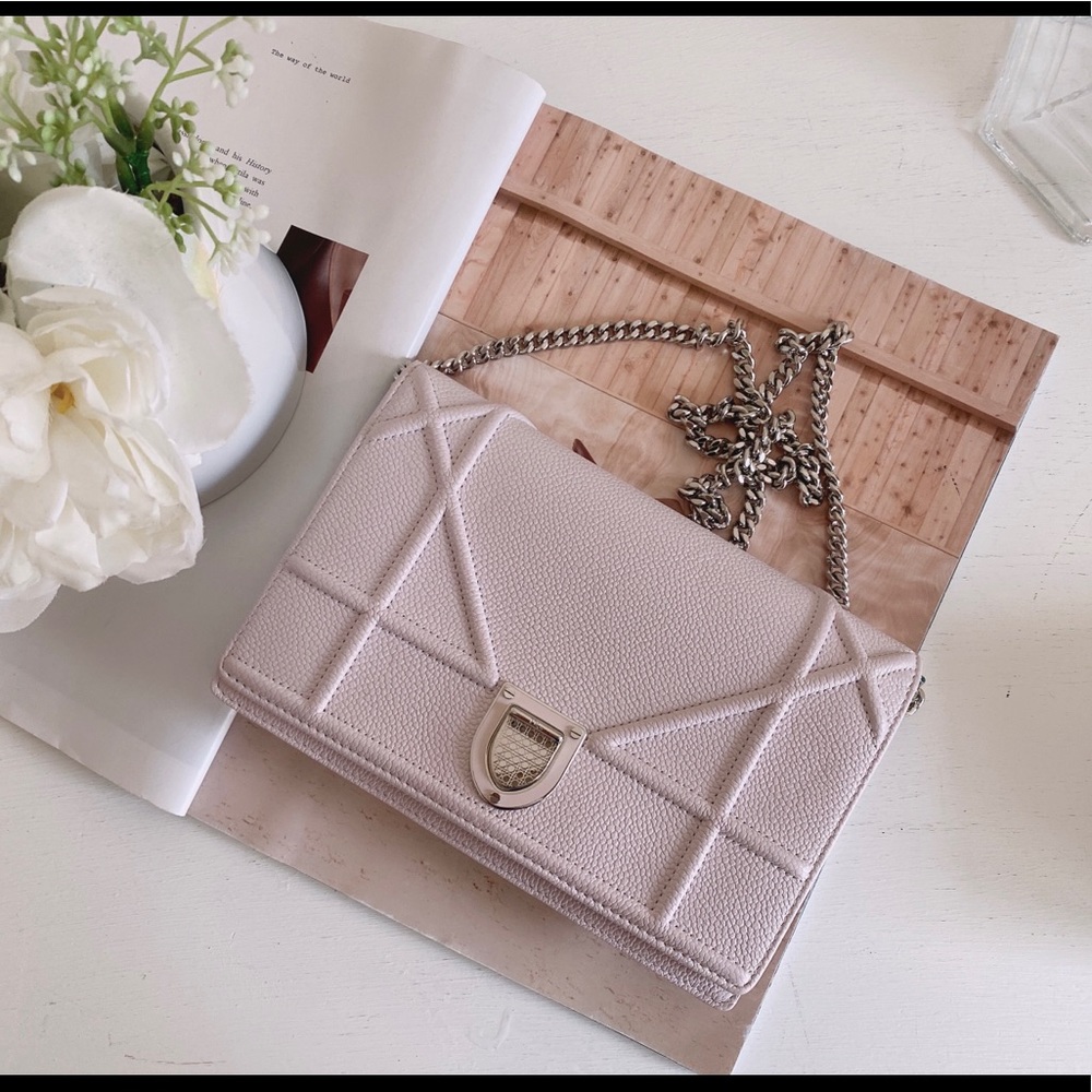 Small Diorama Flap Bag